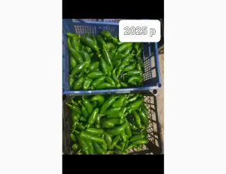 Зображення для оголошення Перець халапеньо