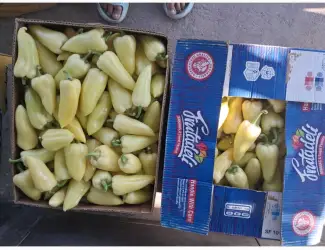 Зображення для оголошення Продам перець