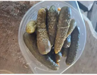 Продам квашений Огірок
