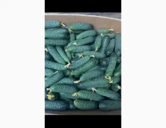 Продам будь який об’єм