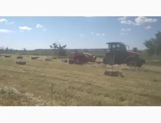 Зображення для оголошення Продам сіно суданки