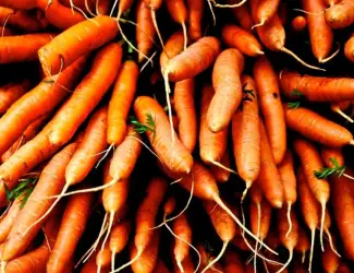 Зображення для оголошення Продам заморожена морква кубик оптом від 5 тонн морква різана для виробництва Чернігівська