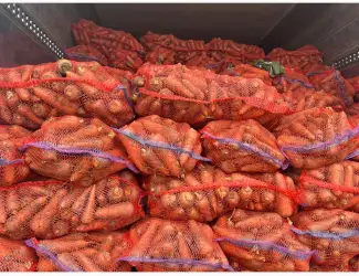 Продам морковь Каскад