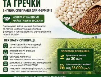 Зображення для оголошення Реалізуємо насіння білої квасолі та гречки