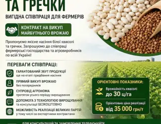 Зображення для оголошення Посівмат квасолі та гречки з контрактом на викуп врожаю