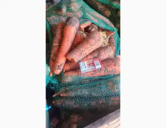 Зображення для оголошення Продам гуртом моркву 2 с