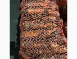 Продам морковь