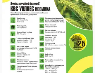Зображення для оголошення Продам насіння озимого Ячменю сорт КВС УОЛЛЕС
