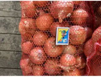 Продам цибулю