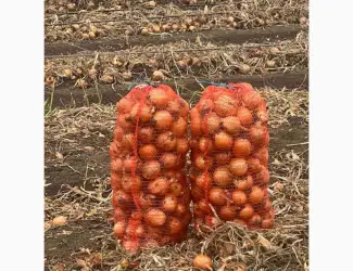 Продам лук