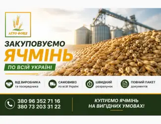 Зображення для оголошення Закупівля ячменю по Україні | Купимо ячмінь від виробника та посередника