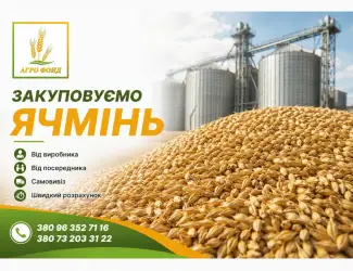 Зображення для оголошення Купимо ячмінь дорого | Закупівля ячменю по всій Україні