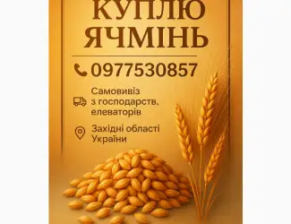 Куплю ячмінь