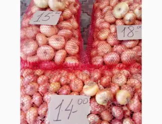 Зображення для оголошення Продам цибулю Штутгард на перо