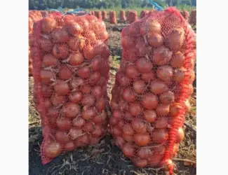 Продам лук