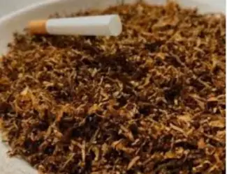Зображення для оголошення Кемел