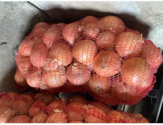 Продам цибулю