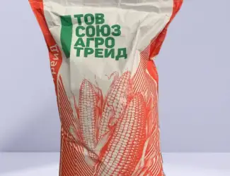 Зображення для оголошення Насіння кукурудзи ДБ Хотин ФАО 280. ВІД ВИРОБНИКА. Дніпропетровська обл