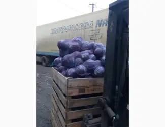 Зображення для оголошення Продам капусту красно кочаную от поставщика с 5 тонн