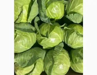 Зображення для оголошення Продам капусту