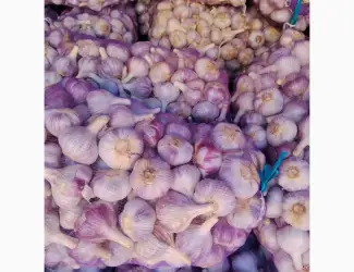 Продам свій часник