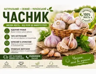 Зображення для оголошення Продаж часника