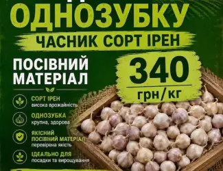 Зображення для оголошення Посівмат озимого часнику Ірен