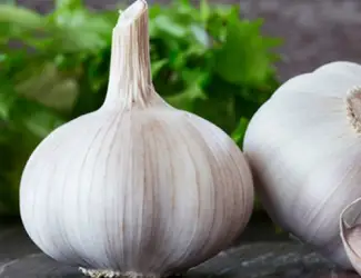 Зображення для оголошення Куплю часник