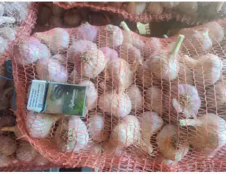 Зображення для оголошення Продам часник сорт Любаша