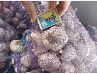 Продам Чеснок сорт Любаша 3т