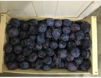 Зображення для оголошення Продам сливу Стенлей
