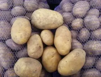 Куплю Картоплю