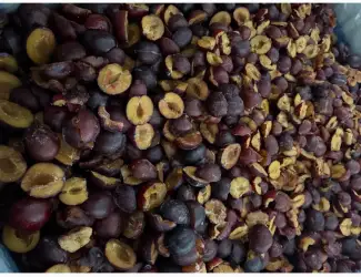 Зображення для оголошення Продам заморожену сливу половинка/ціла