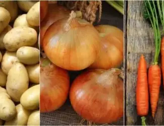 Куплю Цибулю та Картоплю