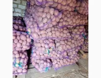 Продам картоплю Белароса