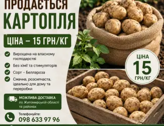 Продам картоплю