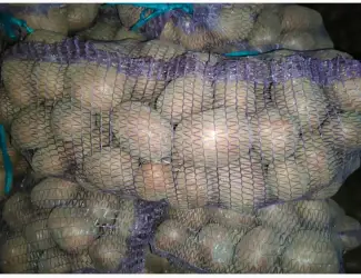 Продам картоплю
