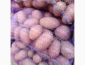 Продам картоплю бела роса