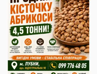Зображення для оголошення Продам кісточку абрикоси 4