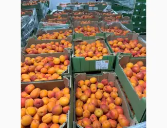 Продам свіжий абрикос Іспанія