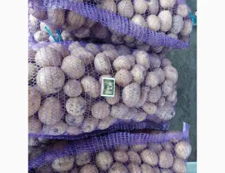 Продам картоплю