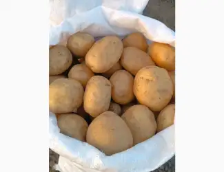 Продам обʼєм картоплі