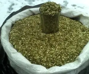 Махорка