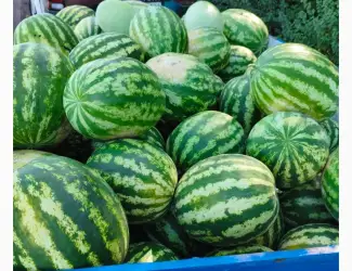 Зображення для оголошення Продам кавун