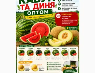 Зображення для оголошення Кавун оптом з поля