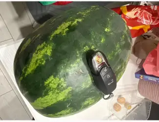 Продам кавун ТАЛІСМАН ТОП ГАН солодкий