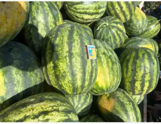 Зображення для оголошення Продам кавун
