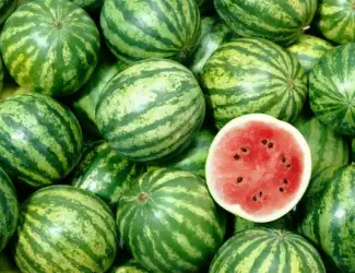 Продам свіжі солодкі кавуни