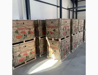 Продам арбуз