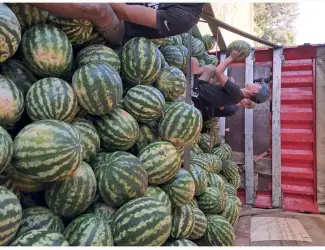 Зображення для оголошення Продам кавун